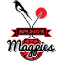 Magpies