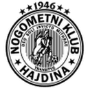 Hajdina