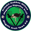 Negele Arsi Ketema